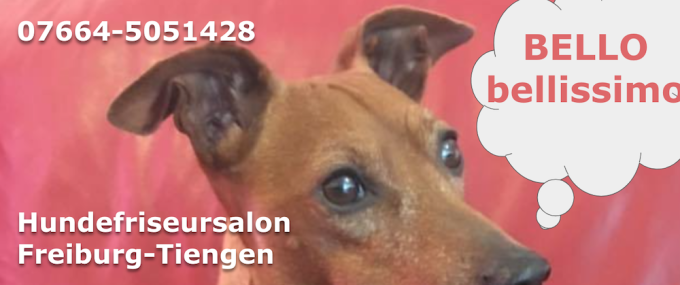 Hundefriseursalon Tiengen &#8211; BELLO bellissimo